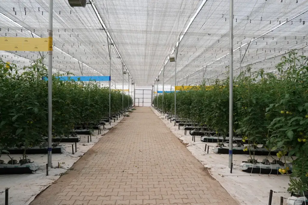 2025年工控机行业技术趋势与工业自动化应用前景分析
