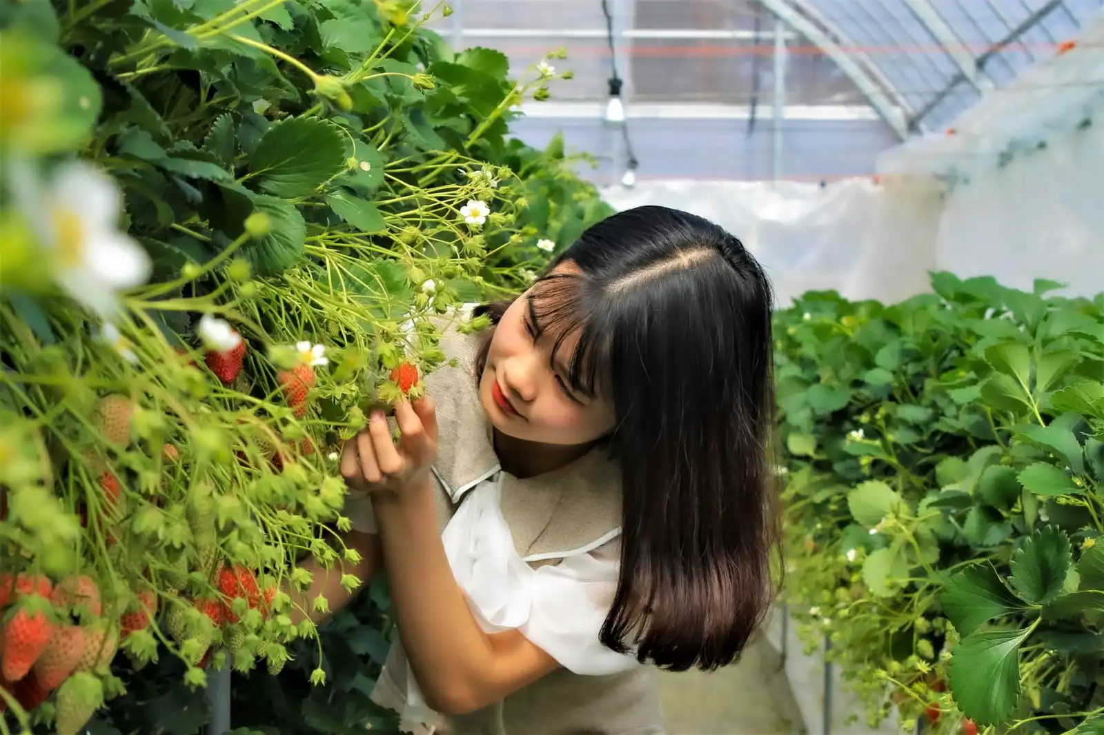 昆明工控机选型指南：夏荣网嵌入式工业电脑参数对比分析