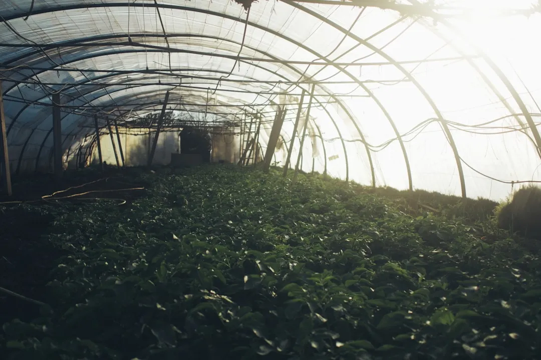 昆明自动化项目工控机选型指南：嵌入式电脑与迷你主机对比分析